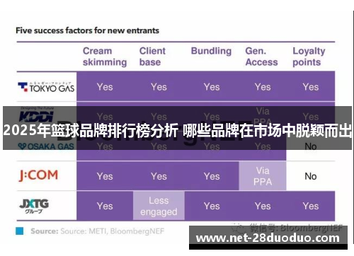 2025年篮球品牌排行榜分析 哪些品牌在市场中脱颖而出