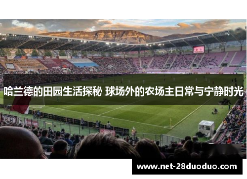 哈兰德的田园生活探秘 球场外的农场主日常与宁静时光