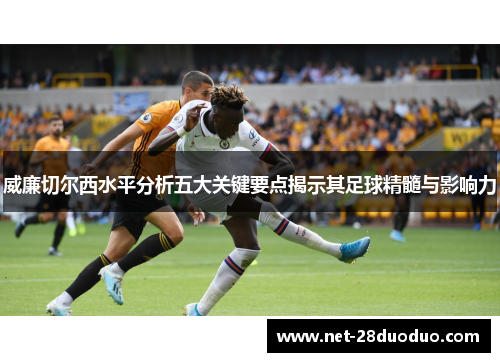 威廉切尔西水平分析五大关键要点揭示其足球精髓与影响力